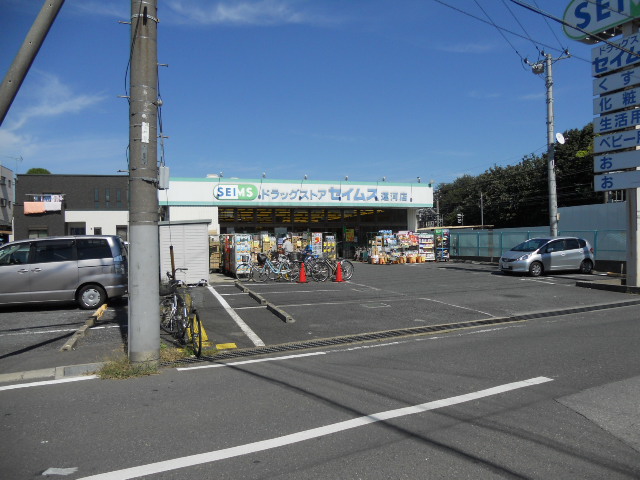 Dorakkusutoa. Drag Seimusu canal shop 1184m until (drugstore)