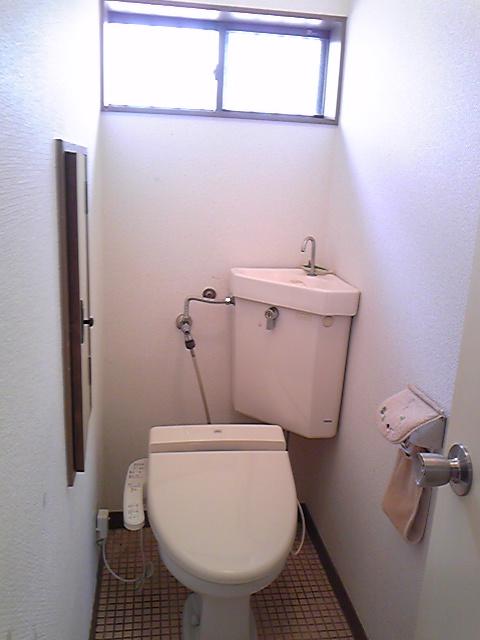 Toilet. Indoor (March 2012) shooting