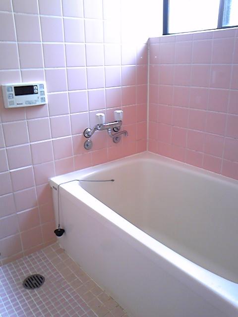 Bathroom. Indoor (03 May 2012) shooting