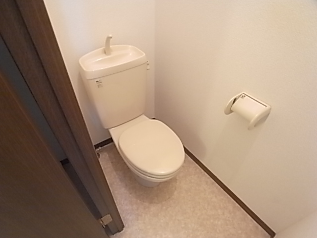 Other. toilet.