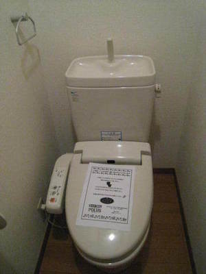 Toilet. It is cleaning toilet seat