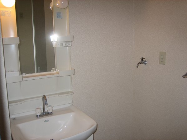 Other. Wash basin