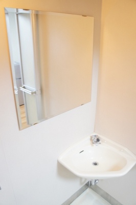 Washroom. It is the washstand of a large mirror