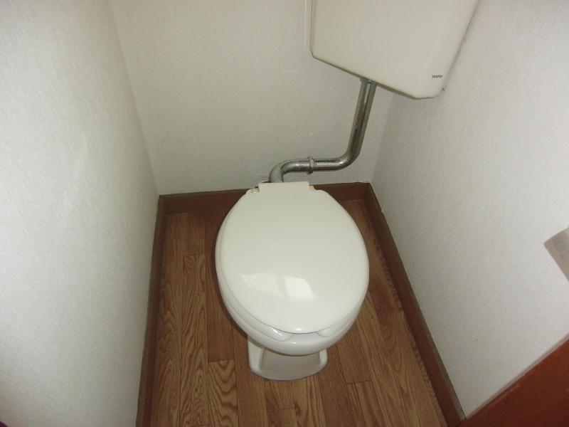 Toilet. Beautiful toilet. 