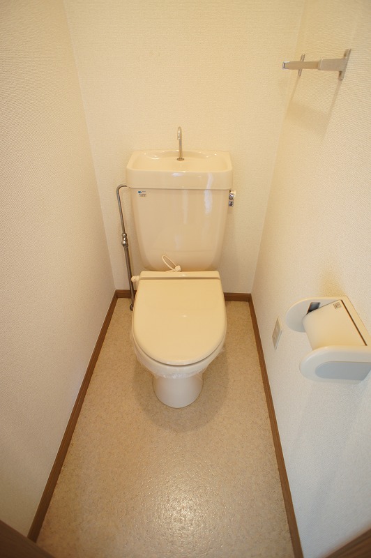 Toilet. Toilet