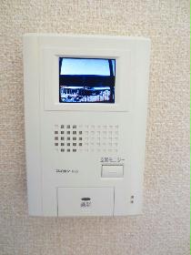 Other. Monitor with intercom