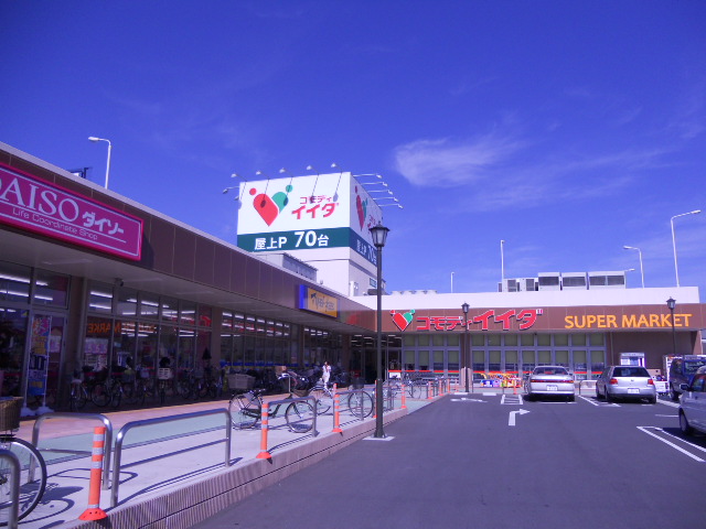 Supermarket. Commodities Iida Noda store up to (super) 200m