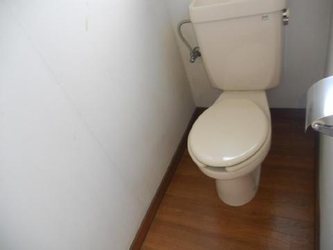 Toilet. Western-style of your toilet! 