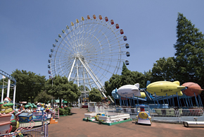 Other Environmental Photo. Until the amusement park of forest 3970m wheel 6 minutes