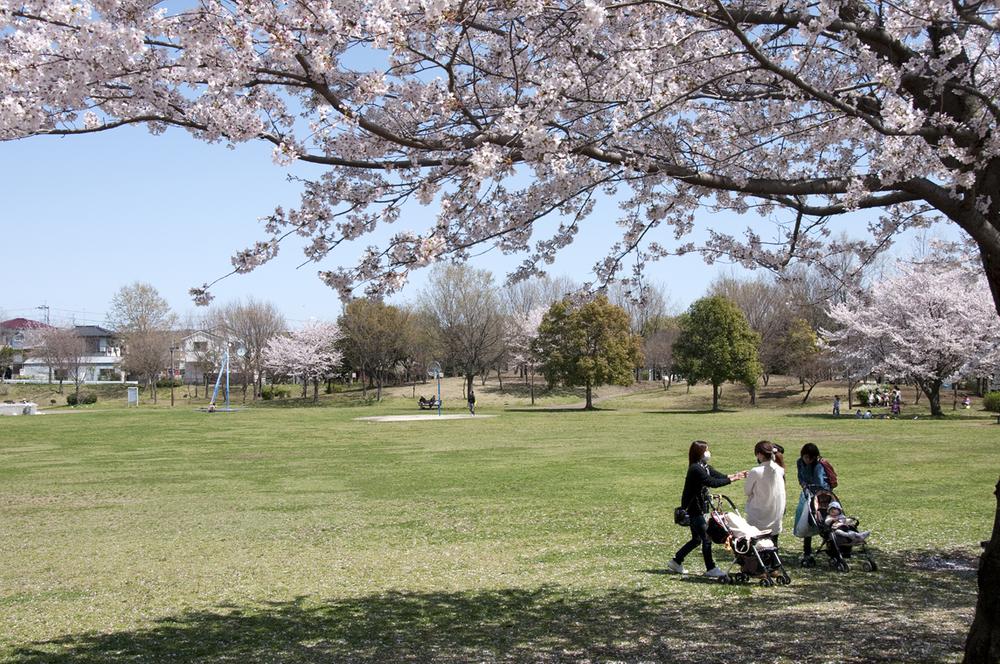 Other Environmental Photo. Until Mizuki park 60m walk 1 minute