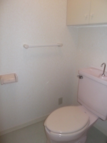 Toilet. Toilet