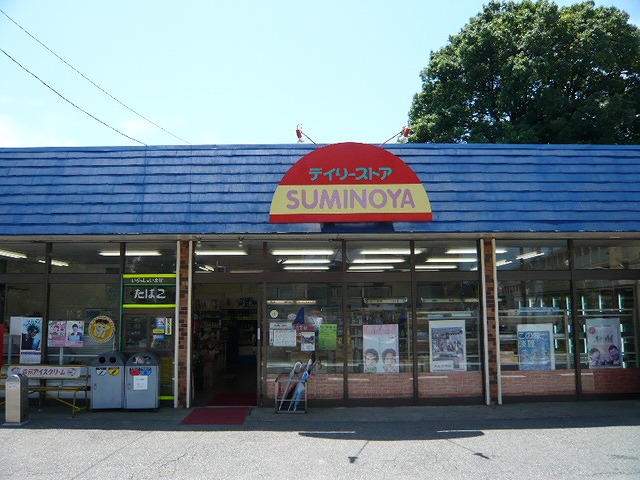 Convenience store. 711m until the Daily Yamazaki (convenience store)