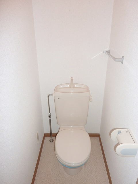 Toilet. Toilet