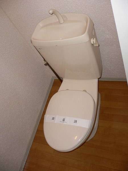 Other. Toilet