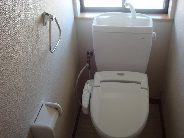 Toilet. New toilet