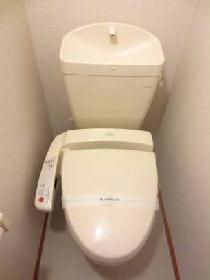 Toilet. Hot-water washing machine