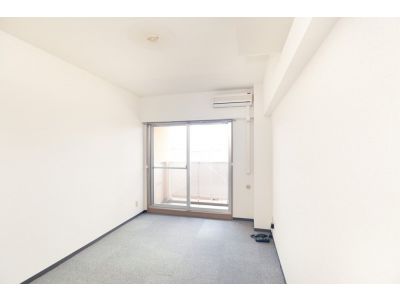 Living and room. Clean carpet.