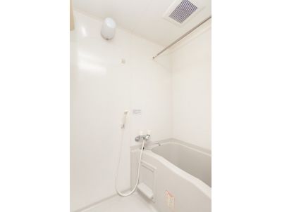 Bath. Clean bathroom.