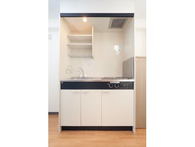 Kitchen. Electric stove 2-neck.