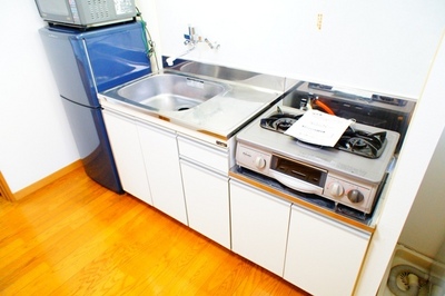 Kitchen. Easy cooking in the gas stove installation Allowed