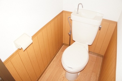 Toilet. Toilet