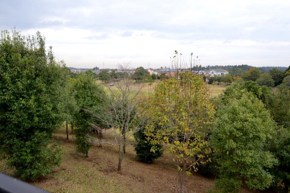 View photos from the dwelling unit. View from the north roof balcony (overlooking the golf course seventh hole of millet. )