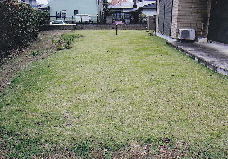 Garden. South side of the large garden