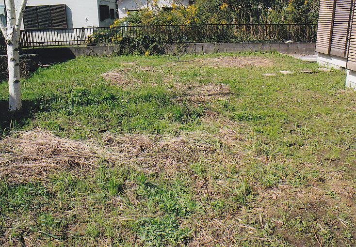 Garden. South side of the large garden