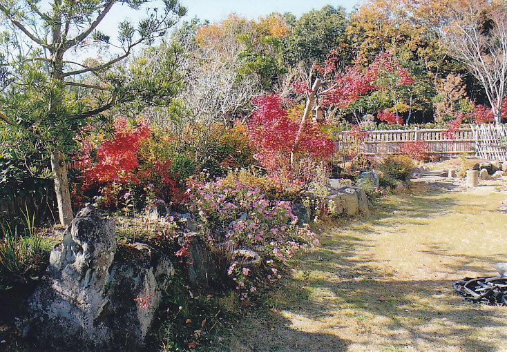 Garden. The south side of the Japanese-style garden