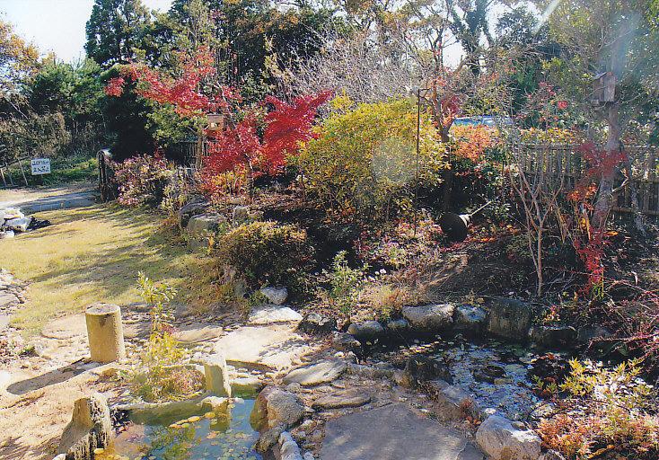 Garden. The south side of the Japanese-style garden