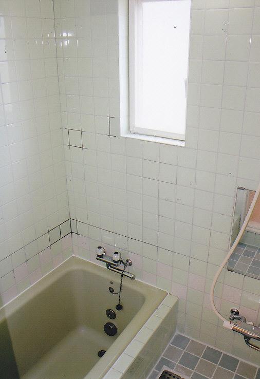 Bathroom. Bathroom stylish design