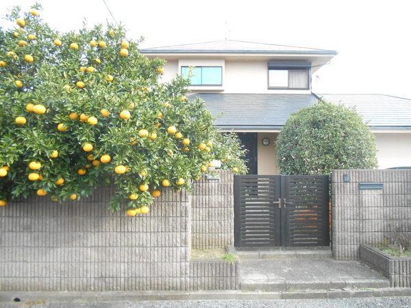 Local photos, including front road