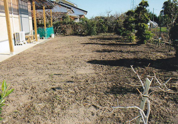 Garden. South side of the large garden