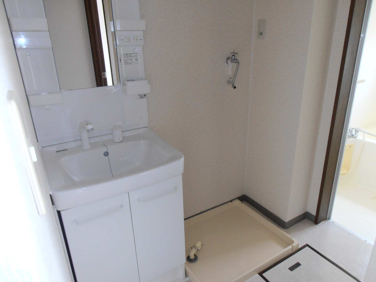 Washroom. Vanity with shower (new)