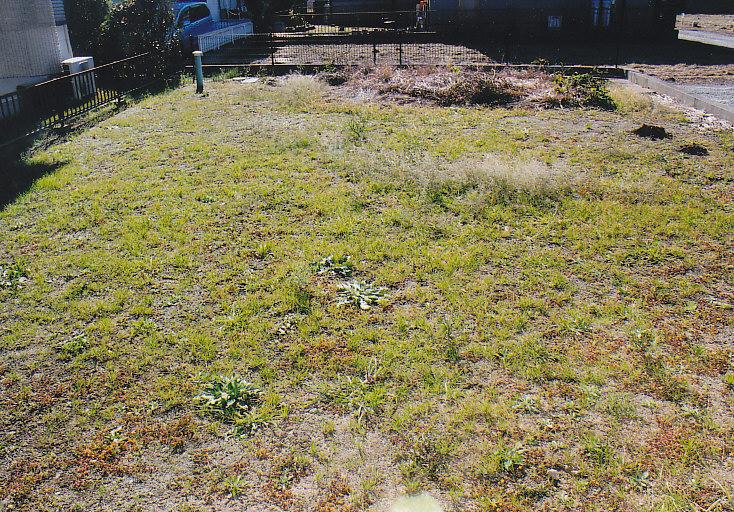 Garden. South side of the large garden