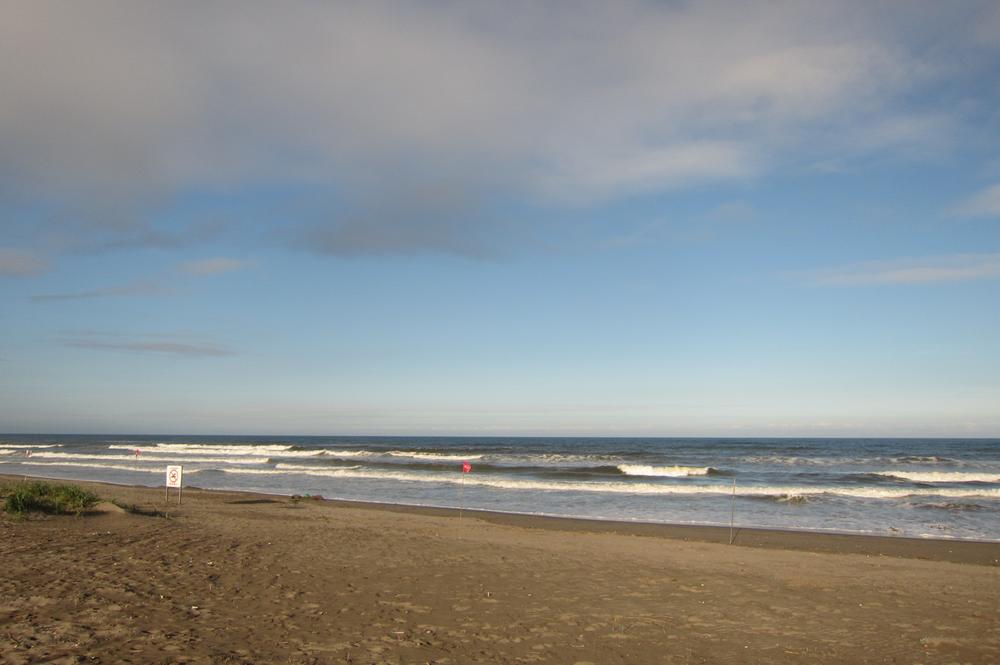 Other Environmental Photo. Nearby Shirosato coast. Sea bells is of colony