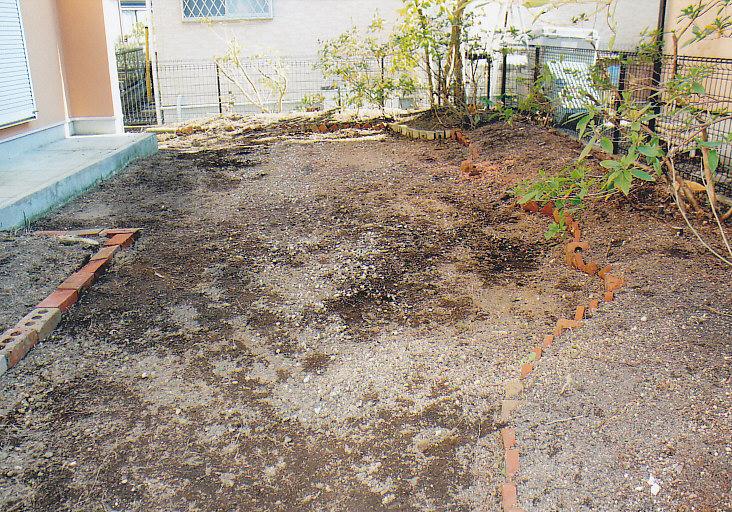 Garden. South side of the large garden