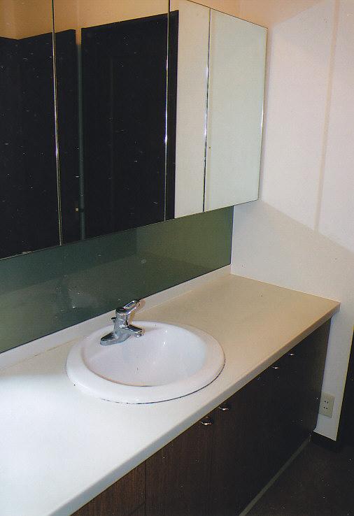 Wash basin, toilet. Large basin with vanity