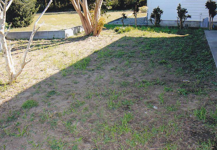 Garden. Various wide accessible garden