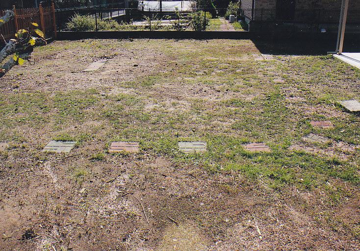 Garden. South side of the large garden