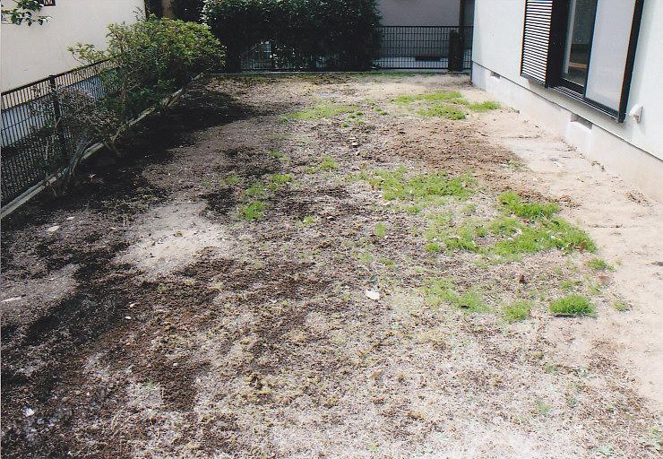 Garden. South side of the large garden