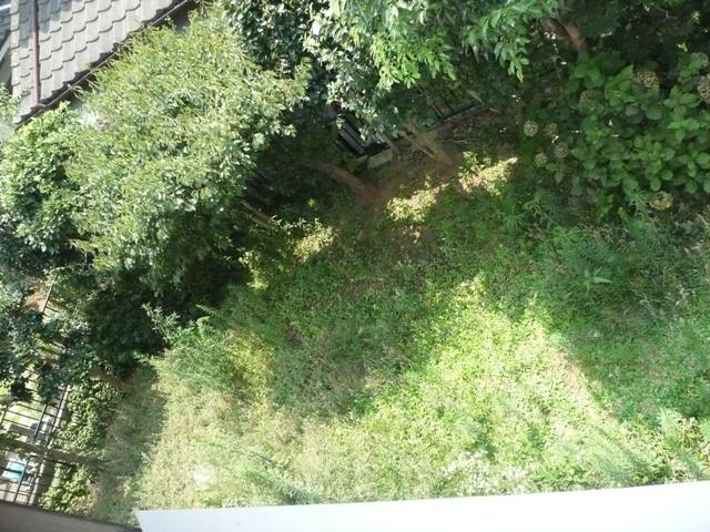 Garden. Day is a good garden