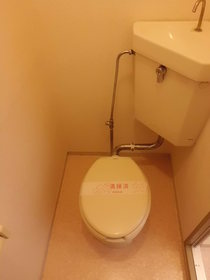 Toilet. Toilet is also important room space.