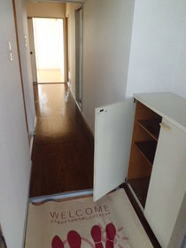 Entrance. To organize also important shoes, Entrance around cleaner