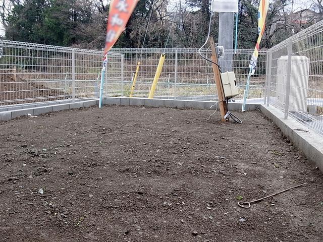 Garden. Garden space