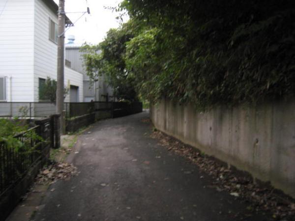 Local photos, including front road