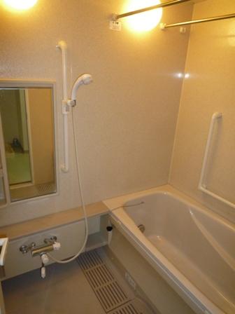 Bathroom. It is equipped with a handrail, Barrier-free bathroom