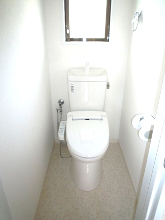 Toilet. Renovation completed