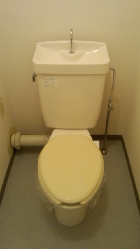 Toilet