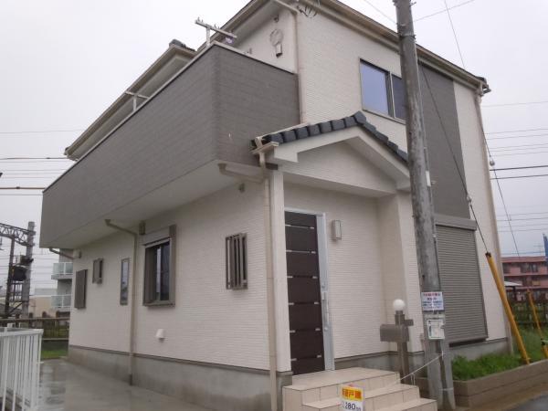 Local appearance photo. Chic appearance of the gray and white!